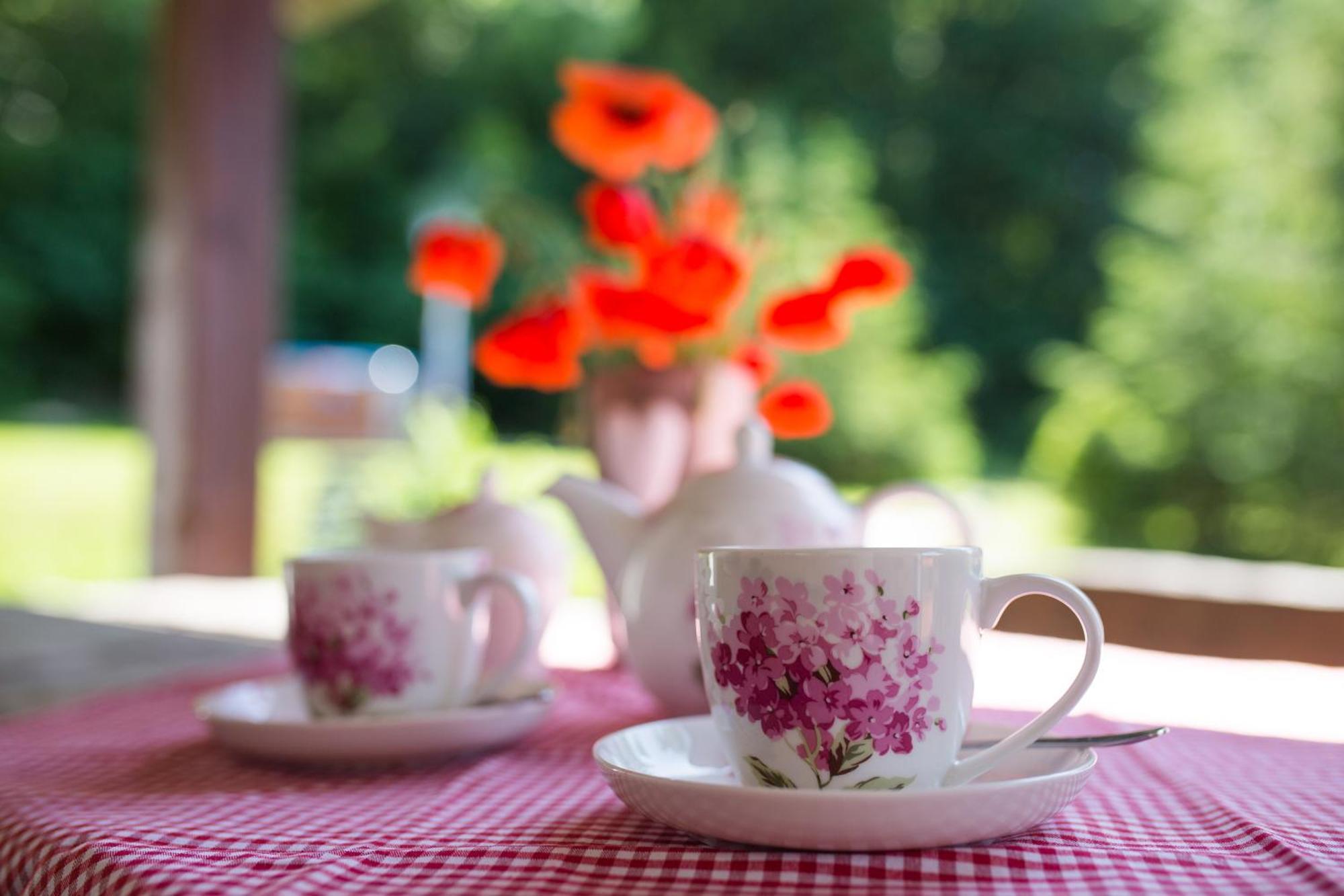 Gosciniec Malinowka Bed & Breakfast Krzeszna ภายนอก รูปภาพ